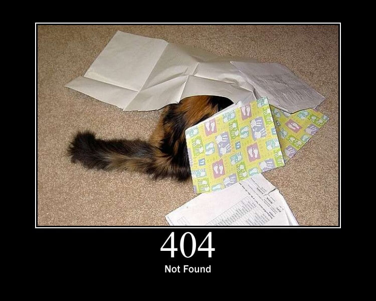 Cat hiding under some fabrics with the caption "404 not found"