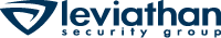 Leviathan Security Group logo